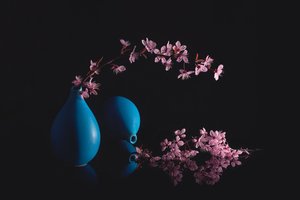 Cherry Blossoms Blue Vases