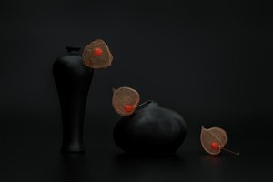 Chinese Lanterns Black Vases