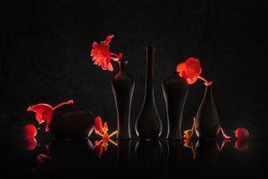 Crimson Blooms Black Vases