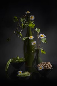 Daisies and Fresh Produce