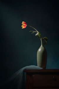 Dark Floral Still Life