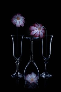 Delicate Blooms Glass Flutes
