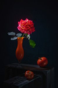 Dramatic Rose Still Life
