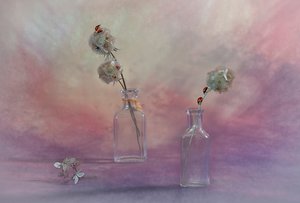 Dreamy Ladybug Still Life