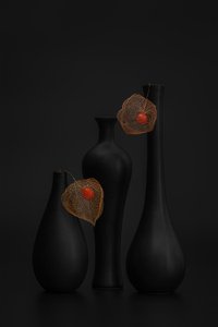 Elegant Black Physalis Still