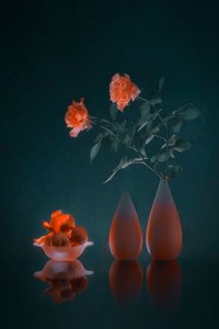 Elegant Dark Floral