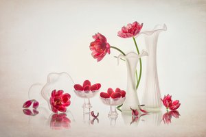 Elegant Floral Still Life