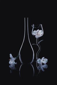 Elegant Glass Orchids