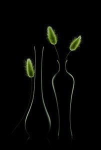 Elegant Green Still Life
