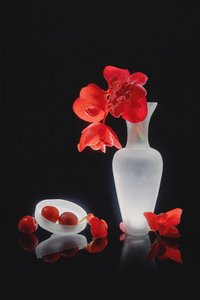 Elegant Red Still Life