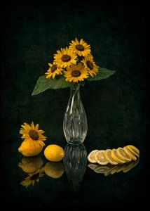 Elegant Sunflower Still Life by Lydia Jacobs