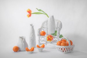 Elegant Tulips and Citrus