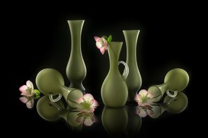 Elegant Vases and Blooms