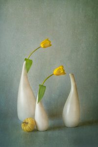 Elegant Yellow Tulips Still Life