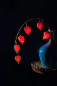Glowing Lanterns Still Life