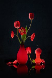 Glowing Red Tulips and Vases