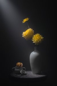 Golden Blooms Still Life