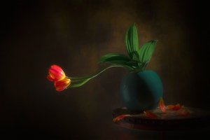 Graceful Tulips Still Life
