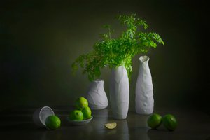 Modern Lime Still Life