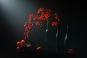 Moody Autumn Still Life
