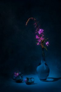 Moody Fireweed Still Life