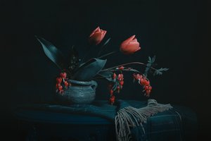 Moody Floral Still Life