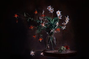 Moody Floral Still Life