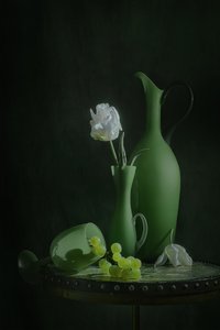 Moody Green Still Life