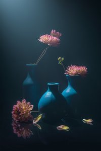 Moody Pink Dahlias