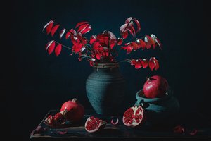 Moody Red Pomegranate Still Life