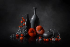 Moody Tomato Still Life