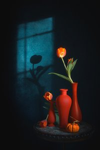 Moody Tulips Still Life by Lydia Jacobs