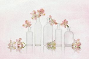Pink Blooms and Glass
