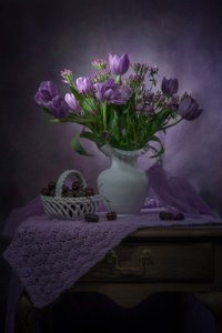 Purple Tulips and Cherries