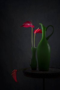 Red Anthuriums Green Vases
