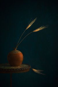 Rustic Wheat Still Life