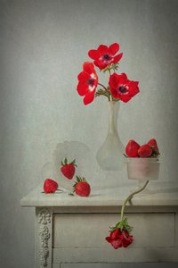 Spring Bloom and Berries
