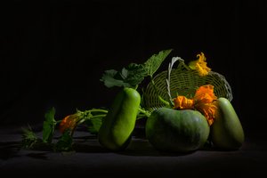 Vibrant Harvest Still Life