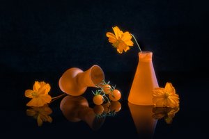 Vibrant Orange Still Life