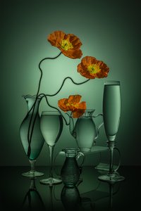 Vibrant Poppies Green Glass