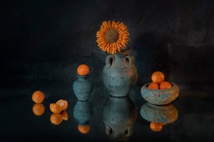 Vibrant Sunflower Mandarins