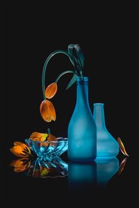 Wilting Tulips Still Life