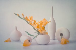 Yellow Blooms White Vases
