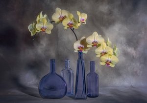 Yellow Orchids Blue Glass