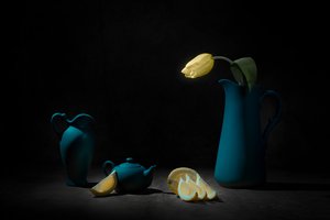 Yellow Tulip Blue Still Life