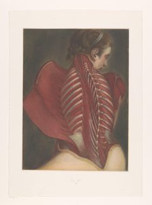 Anatomical Representation of the Back by M.D. Duplain