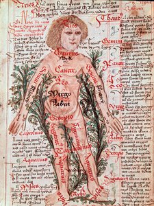 Influence of the Zodiac on Human Diseases (Miniature) by M Albik