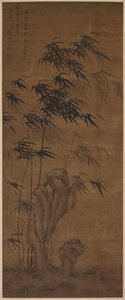 Bamboo in the Wind