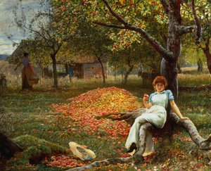 The Cider Orchard