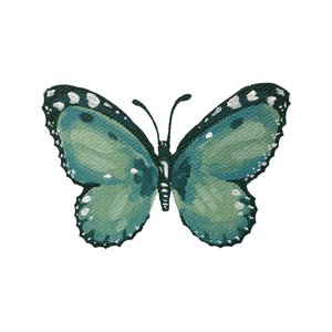 Elegant Teal Butterfly by Madison Phipps